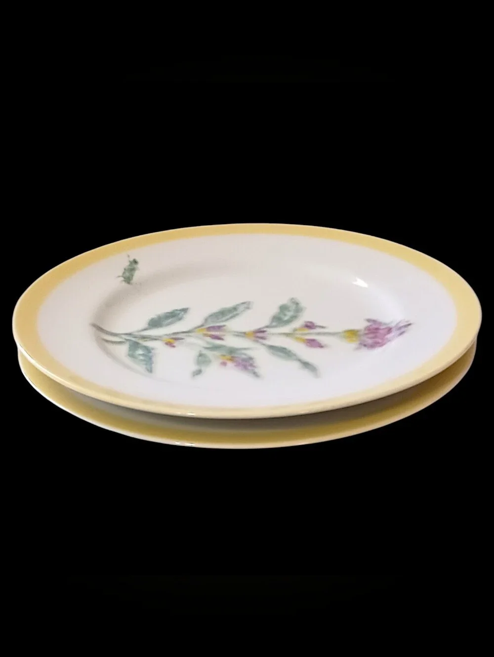 2 Williams Sonoma Flowering Herbs Salad Plates Purple Herb Flowers Grasshopper